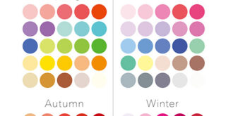 今更聞けない  イエベ＆ブルベとは