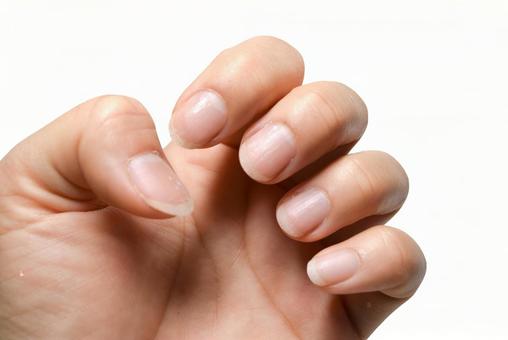 二枚爪で困ったとき