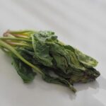 しおれた野菜も捨てないで