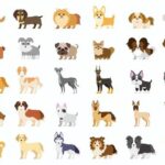 ペットの快適温度について